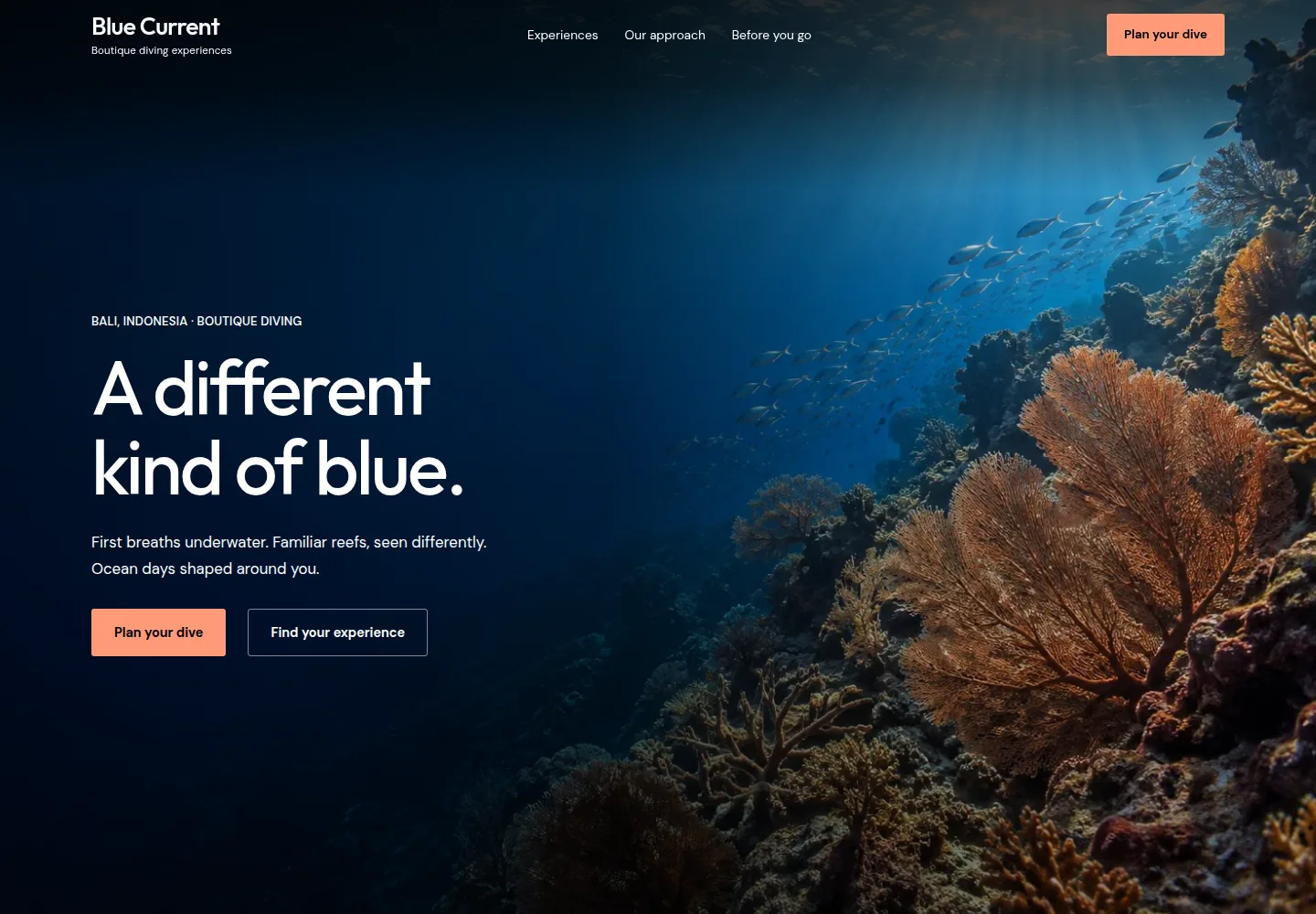 Blue Current Bali — Northstar’s fictional boutique diving website concept
