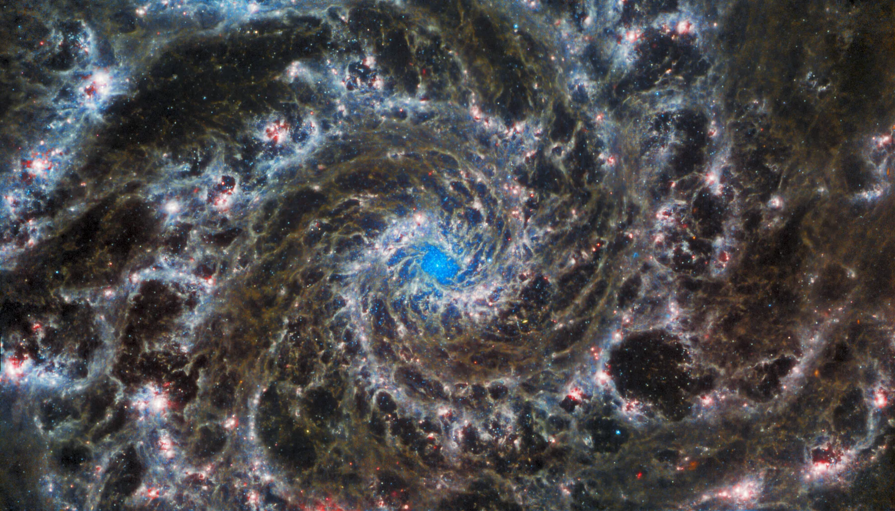 Blue spiral arms and intricate dust filaments in the Phantom Galaxy